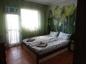 Tulips - guest room close to the Airport, free street parking